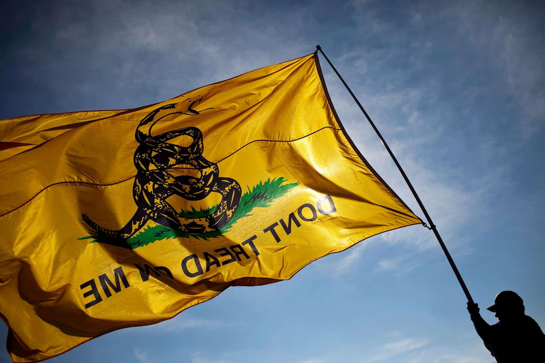 The History of the Don't Tread On Me Flag