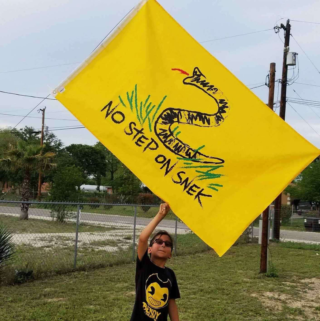 Alternate Versions of the 'Don't Tread On Me' Flag